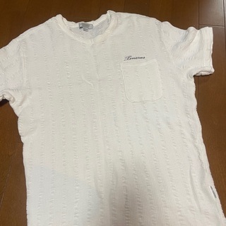 メンズ　ティノラス  M Tシャツの画像