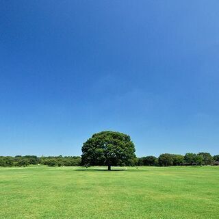 ついに今日！☆★秋の昭和記念公園散策！友達作りに☆★ - 友達