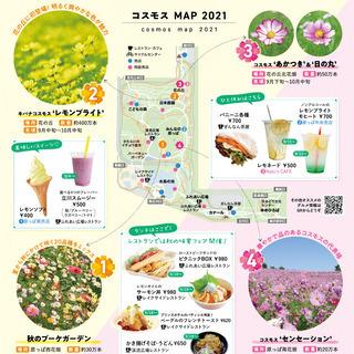 ついに今日！☆★秋の昭和記念公園散策！友達作りに☆★ - 新宿区