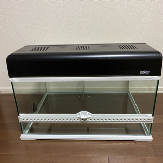 ジェックス エキゾテラ グラステラリウム 6030ガラスケージ