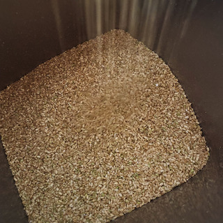 6年産の新米！規格外のお米【25kg】 くず米 コシヒカリの画像