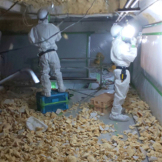 急募❗️ 高単価、中目黒、アスベスト除去スタッフ募集の画像