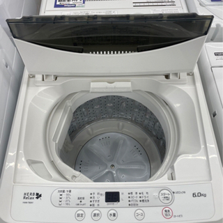 ソテツ 蘇鉄 幹高1メートル 2本あります#I-58 【ご来店頂ける方限定】