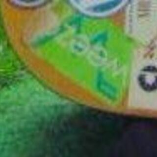 weezer好き