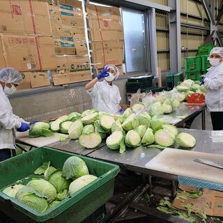 日本語ビギナーレベルOK！製造スタッフ / Japanese b...