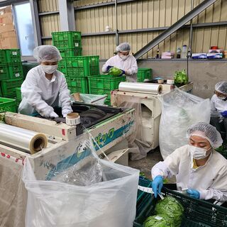 日本語ビギナーレベルOK！製造スタッフ / Japanese beginner level is OK! Manufacturing Staffの画像