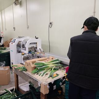 日本語ビギナーレベルOK！製造スタッフ / Japanese beginner level is OK! Manufacturing Staffの画像