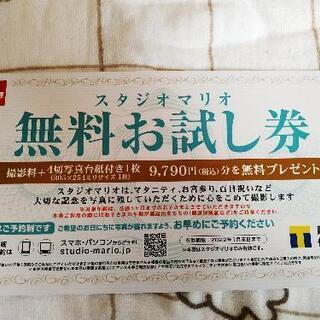 【値下げ】スタジオマリオ　無料お試し券　お宮参りの記念に是非