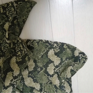 匿名配送❗️未使用に近いエイチアンドエムデザインシャツカットソーTシャツパイソン柄グリーン系柔らか癒される人気素敵スタイリッシュ大活躍オシャレの画像