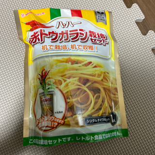 未開封　赤トウガラシ栽培セット