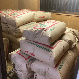 茨城県八郷町産　無農薬新米コシヒカリ🌾30㎏　7000円