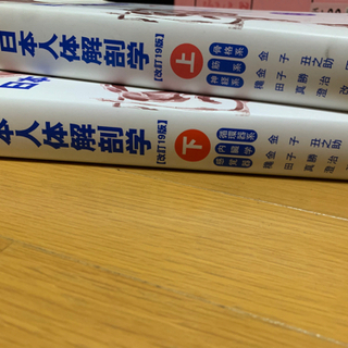 日本人体解剖学の画像