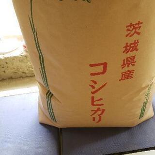 お米の画像