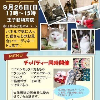 保護猫バザー&パネル展