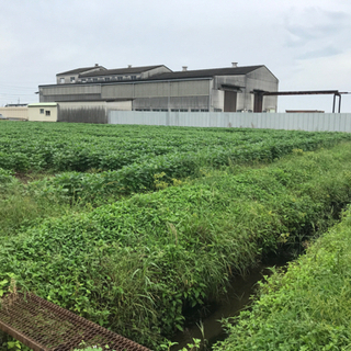 草刈りします。