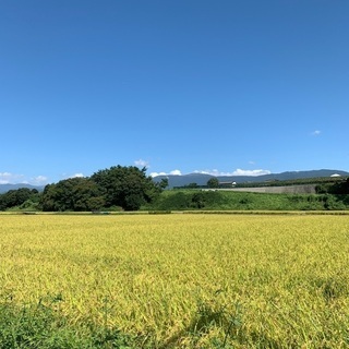 話し相手、仲間募集 - 松本市