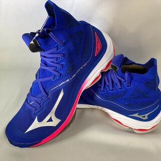 MIZUNO　バレーボールシューズ　27cm　V1GA200220