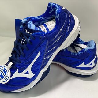 MIZUNO　バドミントンシューズ　24.5cm　71GA191520