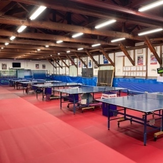 【知多半島実績No.1卓球スクール】米田道場 新規生徒募集中‼︎の画像