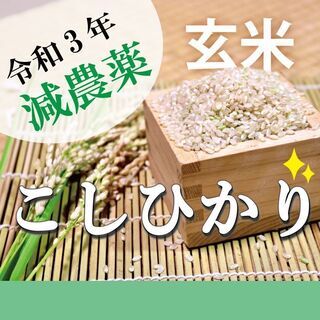 令和3年?新米✨減農薬こしひかり玄米30kg！