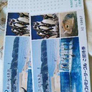 新江ノ島水族館ペアチケット