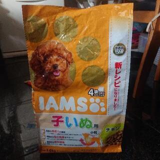 IAMS/アイムス/ドッグフード子いぬ