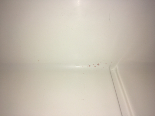 【終了】これからの時期に最適！カスケードマウンテンテック 45QT 42.6L ロトモールド クーラーボックス