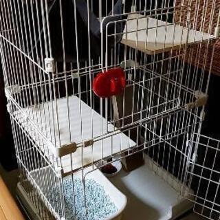 キャットケージ、トイレ２つ等