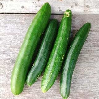 自然農法仲間募集中👩‍🌾 - 友達
