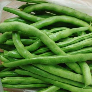 自然農法仲間募集中👩‍🌾 - 橋本市