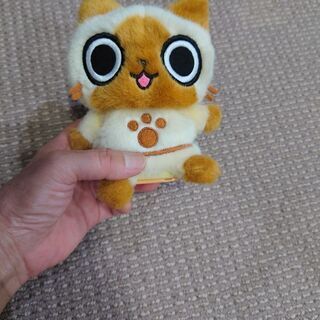 アイルのミミクリーペット