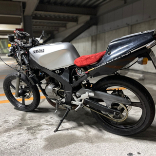 tzr50r の画像