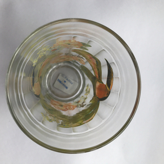 トッカーノ　グラス　ブラジル　カラフル　可愛すぎる　glasses Tucano from Brasilの画像