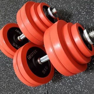 IROTEC ダンベル プレート 12枚（30kg）セット 45cm シャフト付 IROTEC ダンベル プレート 12枚（30kg）セット 45cm シャフト付 美品