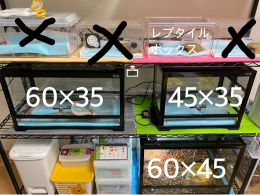 爬虫類飼育用品一式　【10月中の引取り限定価格】