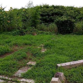 【売地】広い!約413坪（一旦停止します）
