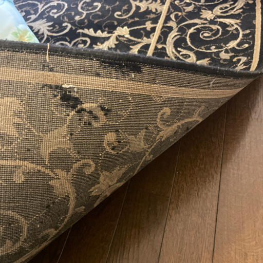 欧風な応接間に！ボタニカル ベルギー絨毯 ペルシャ Eclipse VERSACE