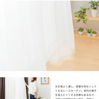 100×175レースカーテン2枚組