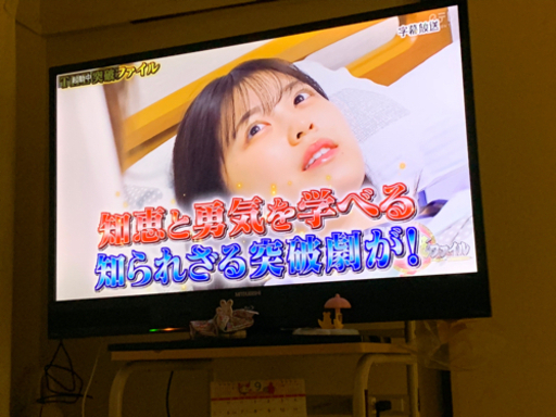 ブルーレイ　HDD 録画機能内蔵テレビ　MITSUBISHI REAL