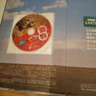 動物図鑑の画像