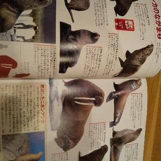 動物図鑑の画像