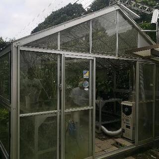 不要になった温室ハウスください！