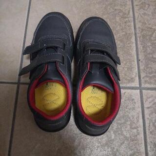MIDORIの安全靴 