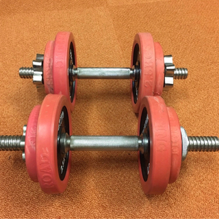 取引完了☆ダンベル　10キロ　2個　セットの画像