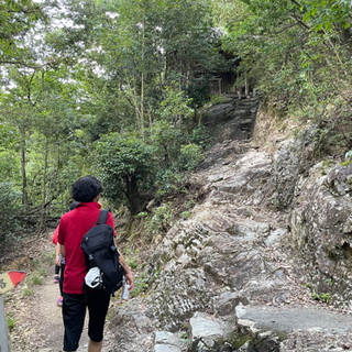 ⛰低山登山、トレッキング、仏閣巡りなど自然が好きな方募集中❗️ - 友達