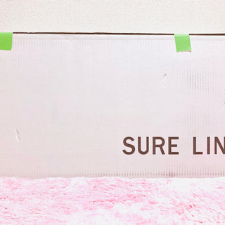 ★新品未使用★ 遠赤外線マット　健康ダイエット　パルティール  シュアライン Partir SURE LINE の画像