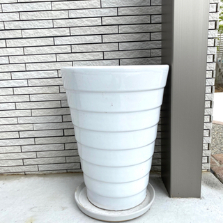 ※値下げ済【美品】シンプルホワイト鉢植え