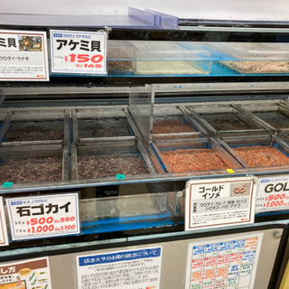 釣り仲間募集