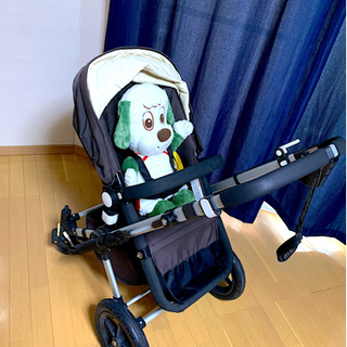 バガブーカメレオン　シルバーフレーム