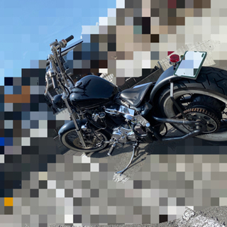 STEED400